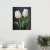 Pure White Tulips