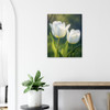 Luminescent Sunlit White Tulip