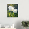 Luminescent Sunlit White Tulip