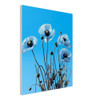 Sapphire Black Poppy Whispers
