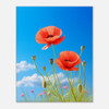 Azure Sky Red Poppies