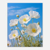 Serene White Poppies Elegance