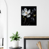 Midnight Contrast Black Magnolia