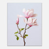 Gentle Bloom Pink Magnolia