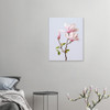 Gentle Bloom Pink Magnolia