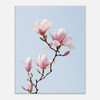 Delicate Spring Pink Magnolia