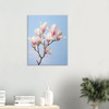 Blush Pink Magnolia