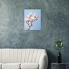 Blush Pink Magnolia
