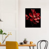 Radiant Ruby Red Magnolia
