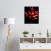 Radiant Ruby Red Magnolia