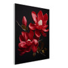 Crimson Majestic Red Magnolia