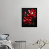 Crimson Majestic Red Magnolia