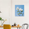 Peaceful White Magnolias