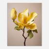 Golden Amber Yellow Magnolia