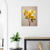 Golden Amber Yellow Magnolia