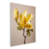 Golden Amber Yellow Magnolia