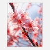 Whisper Spring Red Cherry Blossoms