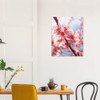 Whisper Spring Red Cherry Blossoms