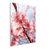 Whisper Spring Red Cherry Blossoms