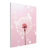 Pink Dandelion Dream