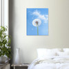 Delicate Farewell White Dandelion