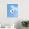 Delicate Farewell White Dandelion