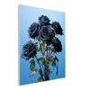 Twilight Sapphire-Black Rose