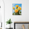 Sunny Yellow Rose Serenade