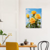 Sunny Yellow Rose Serenade