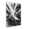 Black Shattered Sky