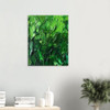 Verdant Green Fragments
