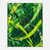 Green Vivid Vectors