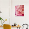 Vivid Pink Dreams