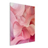 Vivid Pink Dreams