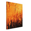 Orange Symphony