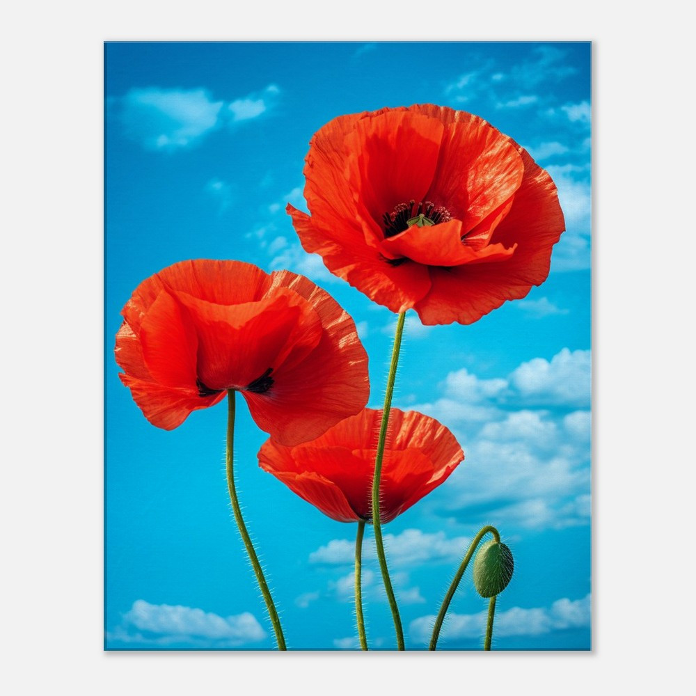 Crimson Red Poppies Ballet