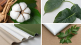 Eco-Friendly Canvas Prints for a Greener Home