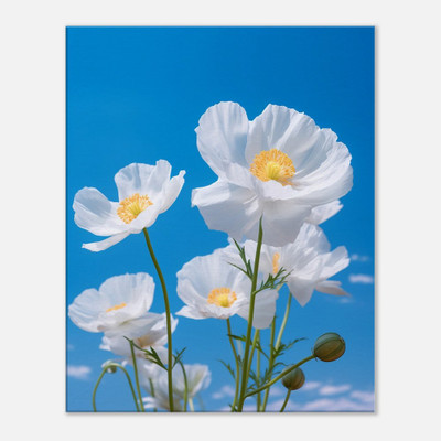 Azure Reverie White Poppies