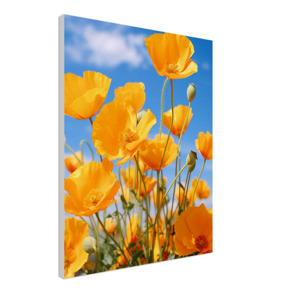 Azure Sky Yellow Poppies