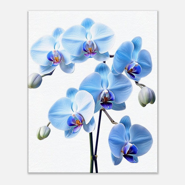 Sky-Kissed Azure Orchid Blue