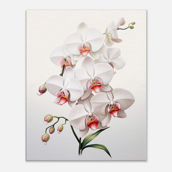 Delicate White Orchid Petals