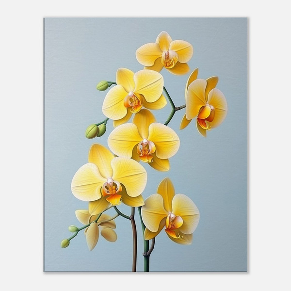 Sunrise Yellow Orchid Aria