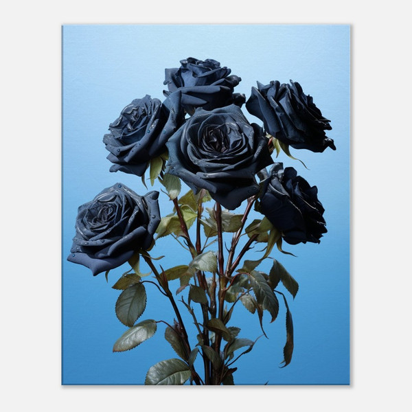 Twilight Sapphire-Black Rose