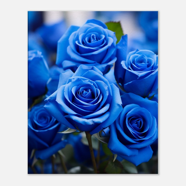 Oceanic Blue Rose Collection