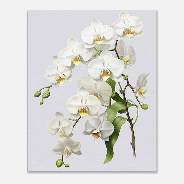 White Orchid Grace