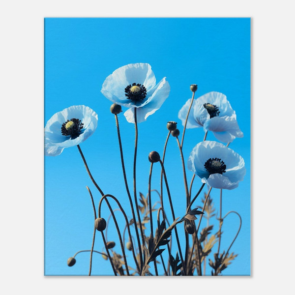 Sapphire Black Poppy Whispers