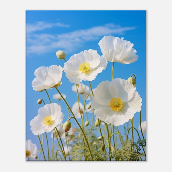 Serene White Poppies Elegance