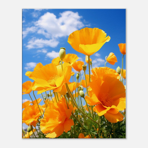 Golden Embrace Yellow Poppies