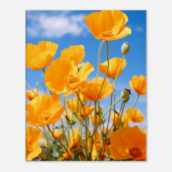 Azure Sky Yellow Poppies