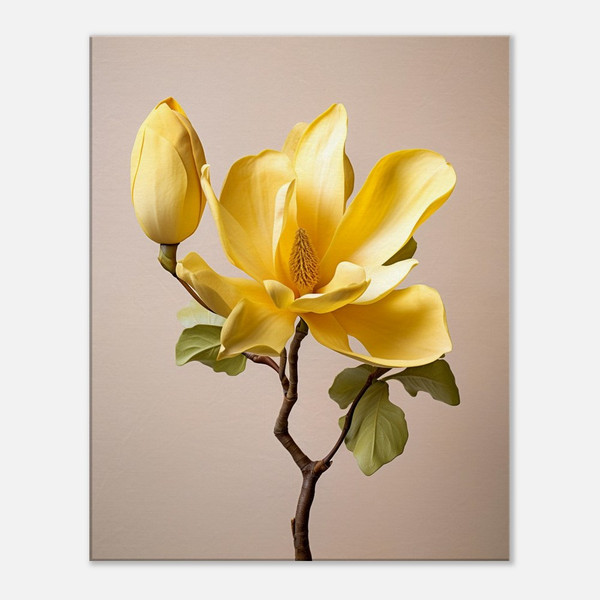 Golden Amber Yellow Magnolia